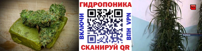 Canna-Cookies конопля  mega маркетплейс  Мегион 