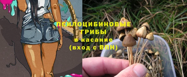 гашик Остров