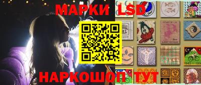 гашик Будённовск