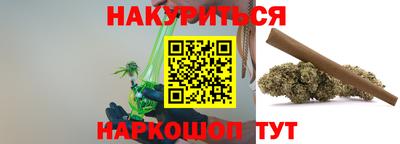 гашик Будённовск