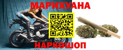 гашик Будённовск