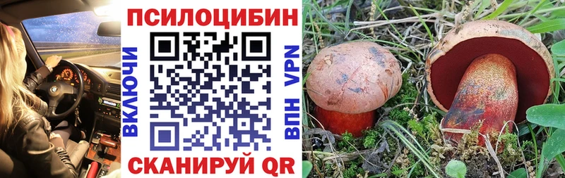 Псилоцибиновые грибы GOLDEN TEACHER купить наркотики цена Мегион