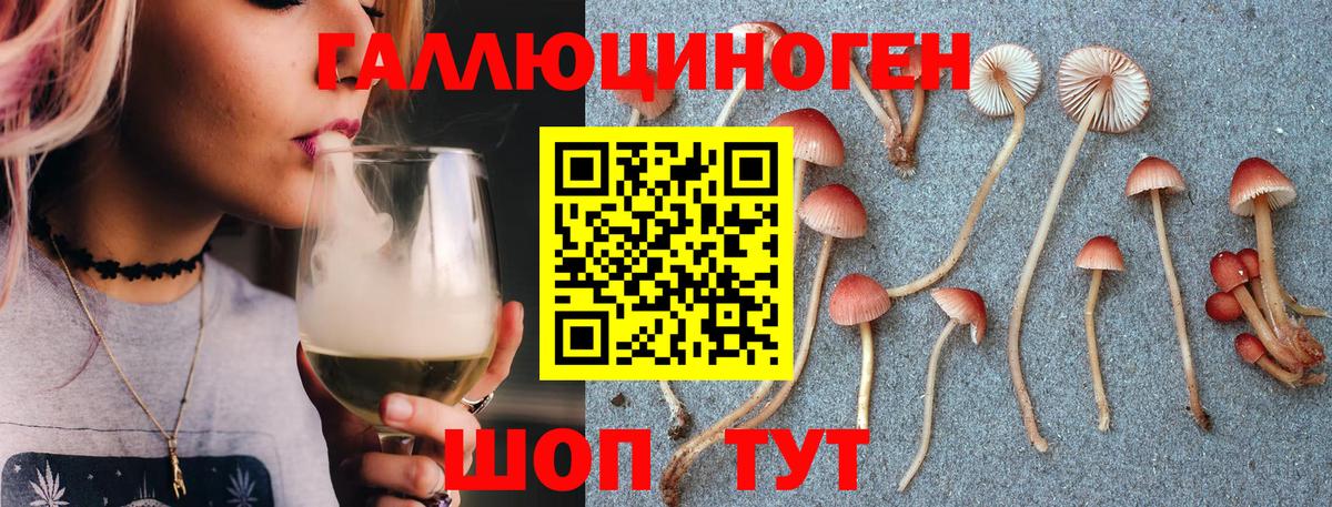 Мегион  Галлюциногенные грибы GOLDEN TEACHER  Галлюциногенные грибы Magic Shrooms  Вход с VPN 